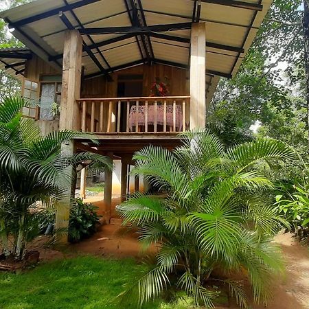 Ruk Sewana Villa Tree House สิกิริยา ภายนอก รูปภาพ