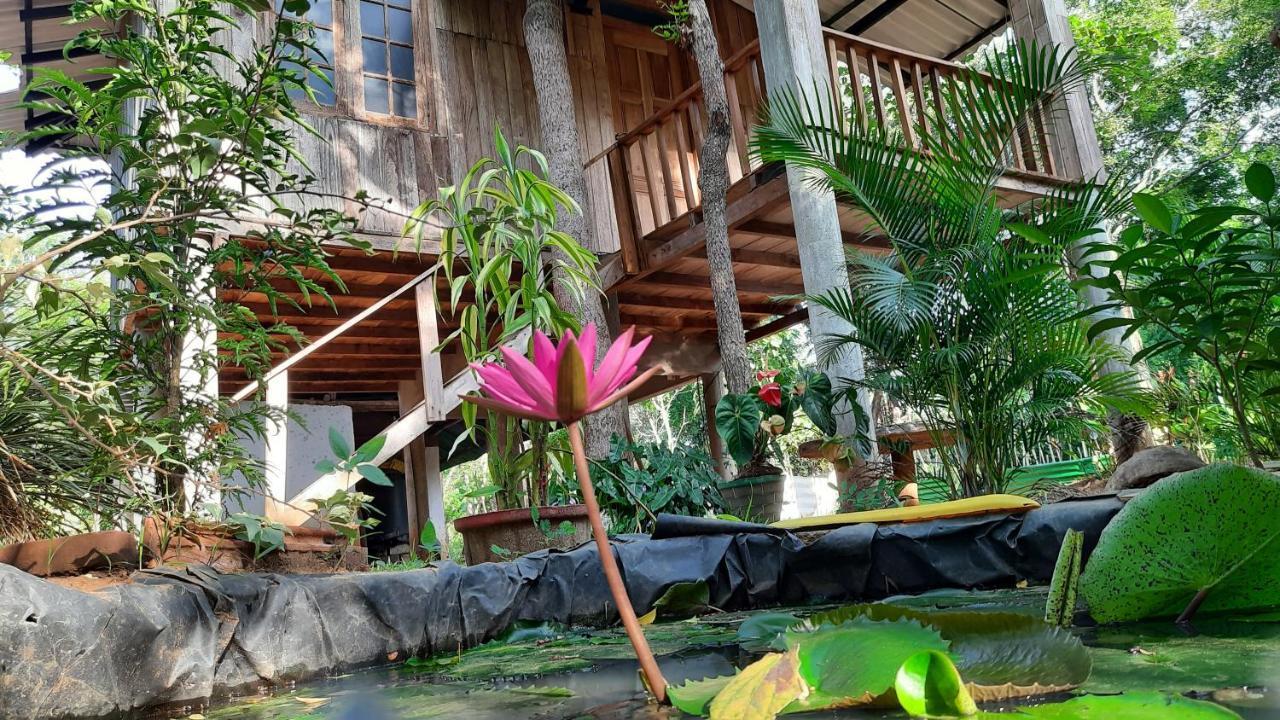 Ruk Sewana Villa Tree House สิกิริยา ภายนอก รูปภาพ