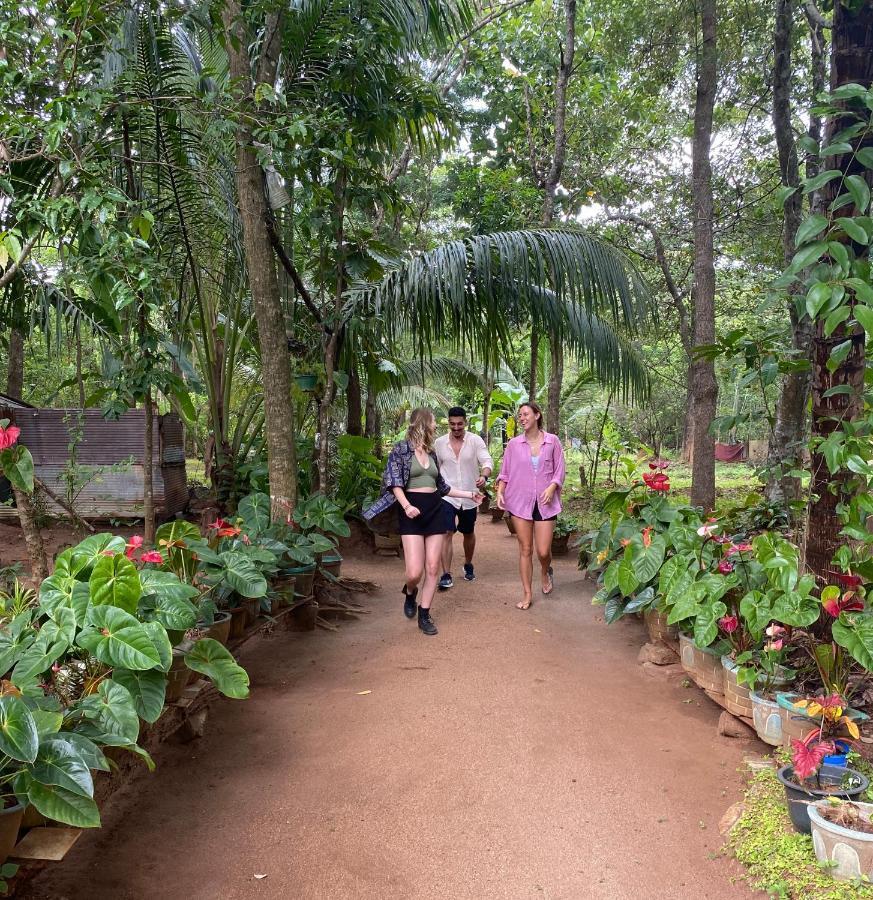 Ruk Sewana Villa Tree House สิกิริยา ภายนอก รูปภาพ